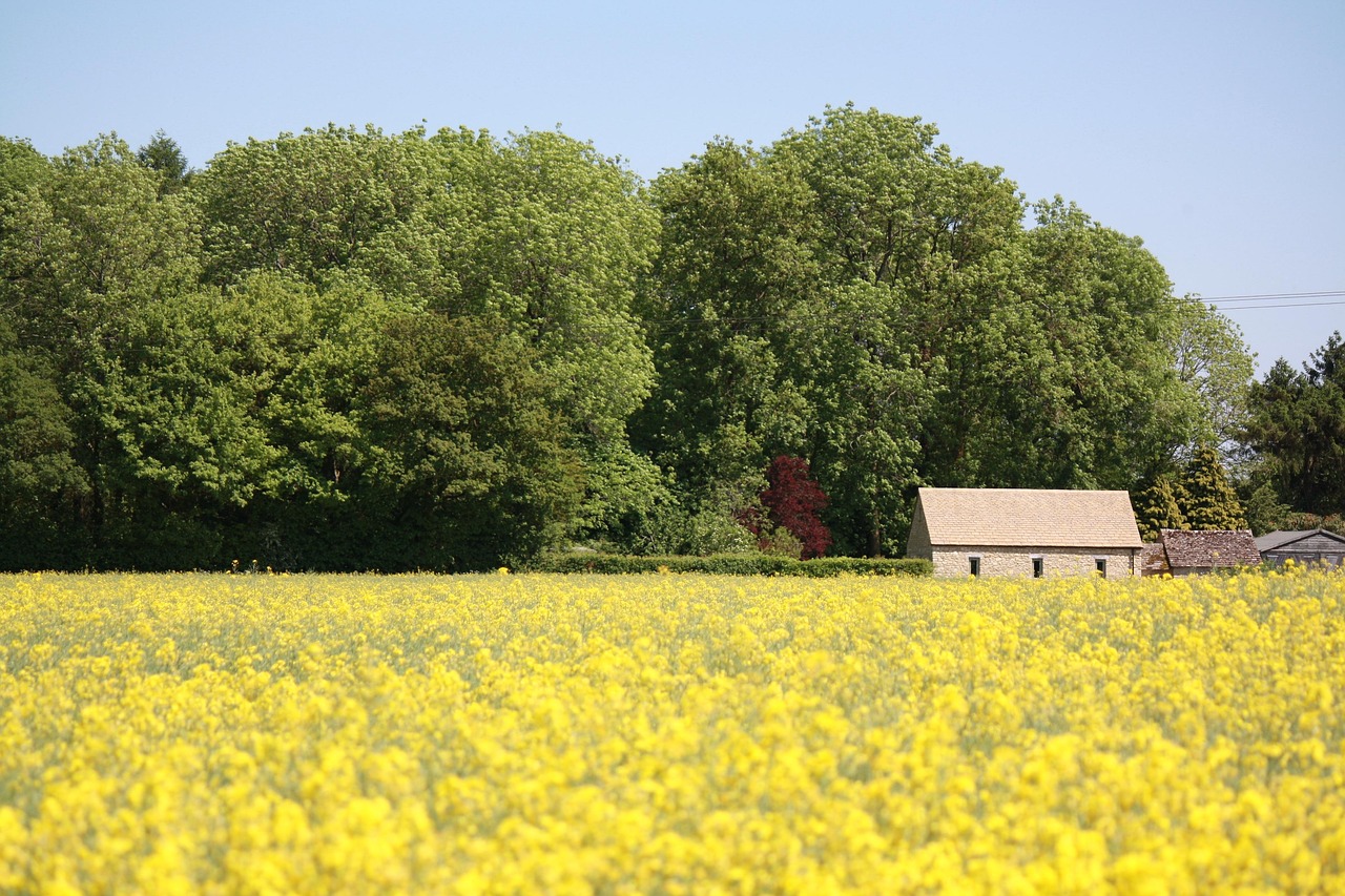 Panorama dei Cotswolds con colline verdi, fattorie in pietra e tipici villaggi inglesi.