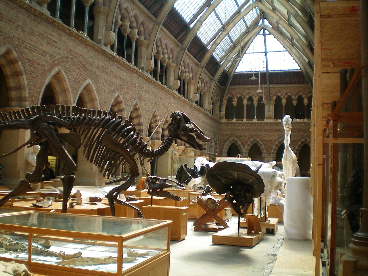 Ingresso del Museo di Storia Naturale a Londra, con imponente facciata e statue di dinosauri.