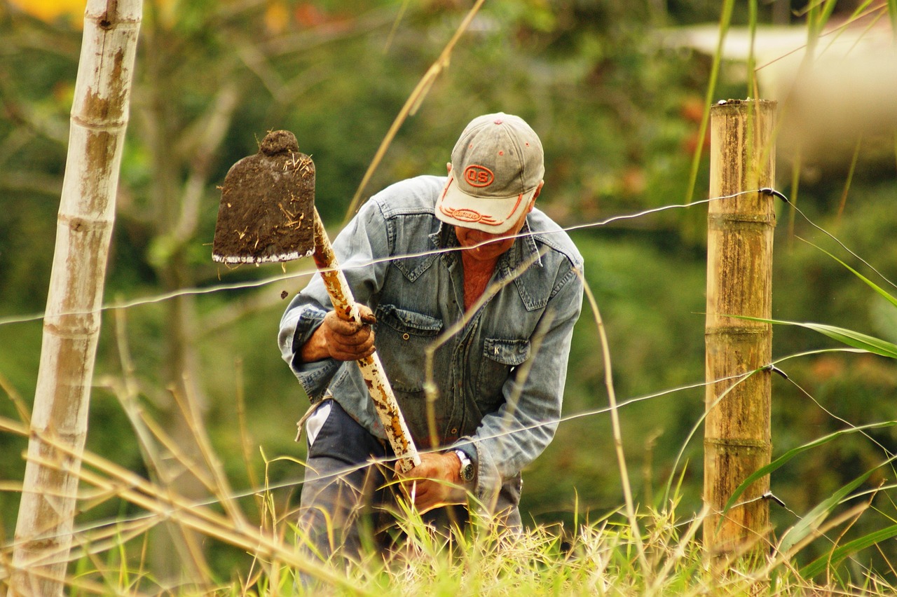 Immagine informativa sulla disoccupazione agricola 2026 e modalità di richiesta.