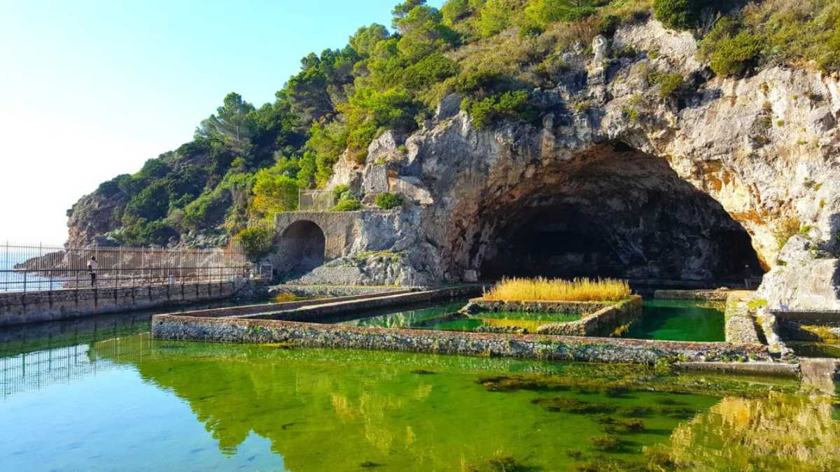 Terme naturali in Toscana, paesaggio rilassante con sorgenti termali e vegetazione lussureggiante.