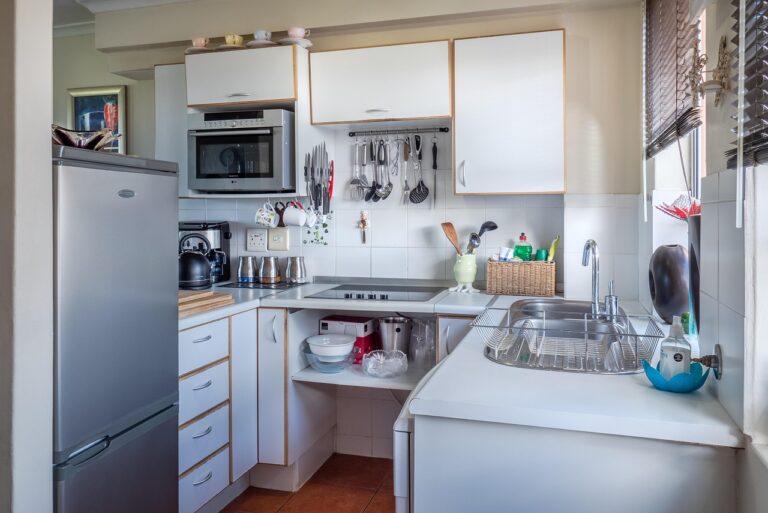 Scarafaggi in cucina: dove si nascondono davvero (e come scovarli prima della disinfestazione)